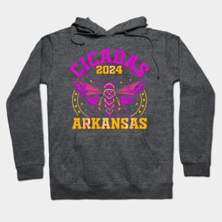 CICADAS 2024 ARKANSAS Hoodie